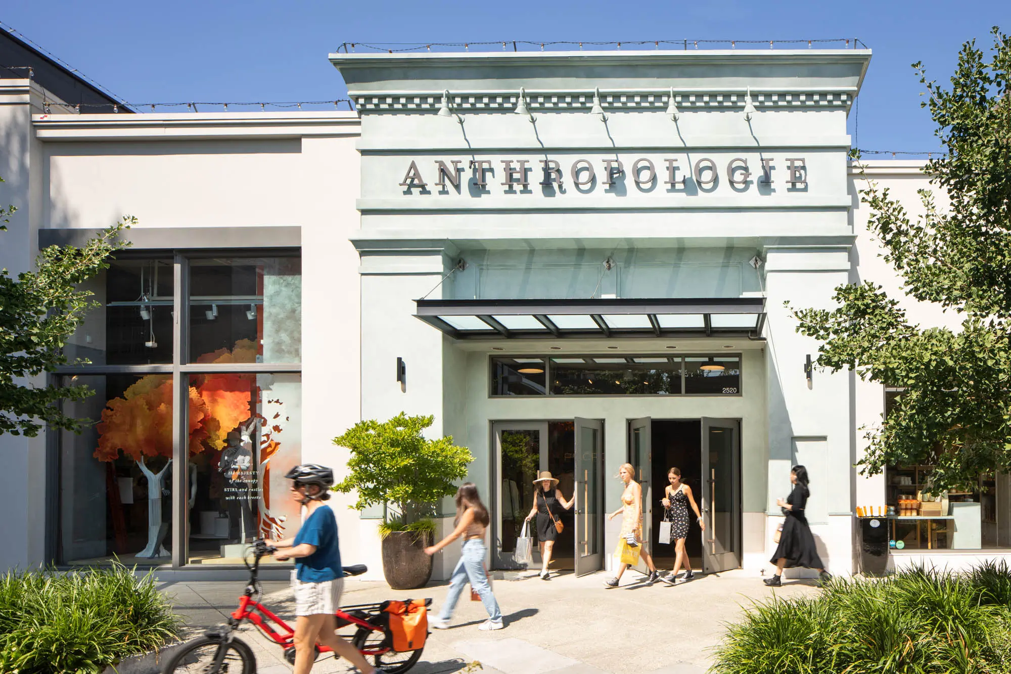 anthropologie