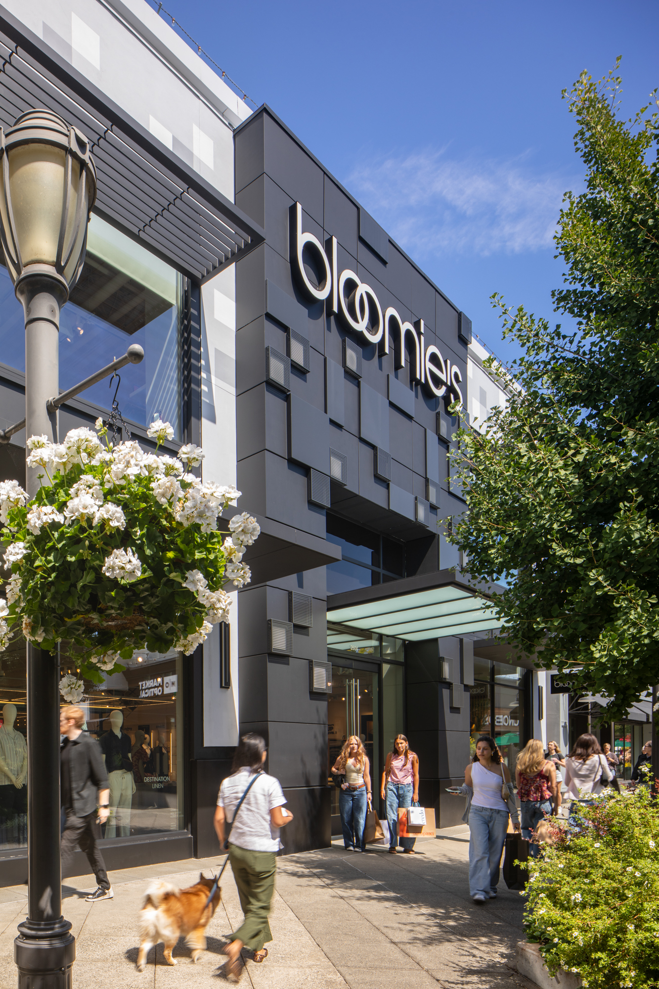 Bloomies