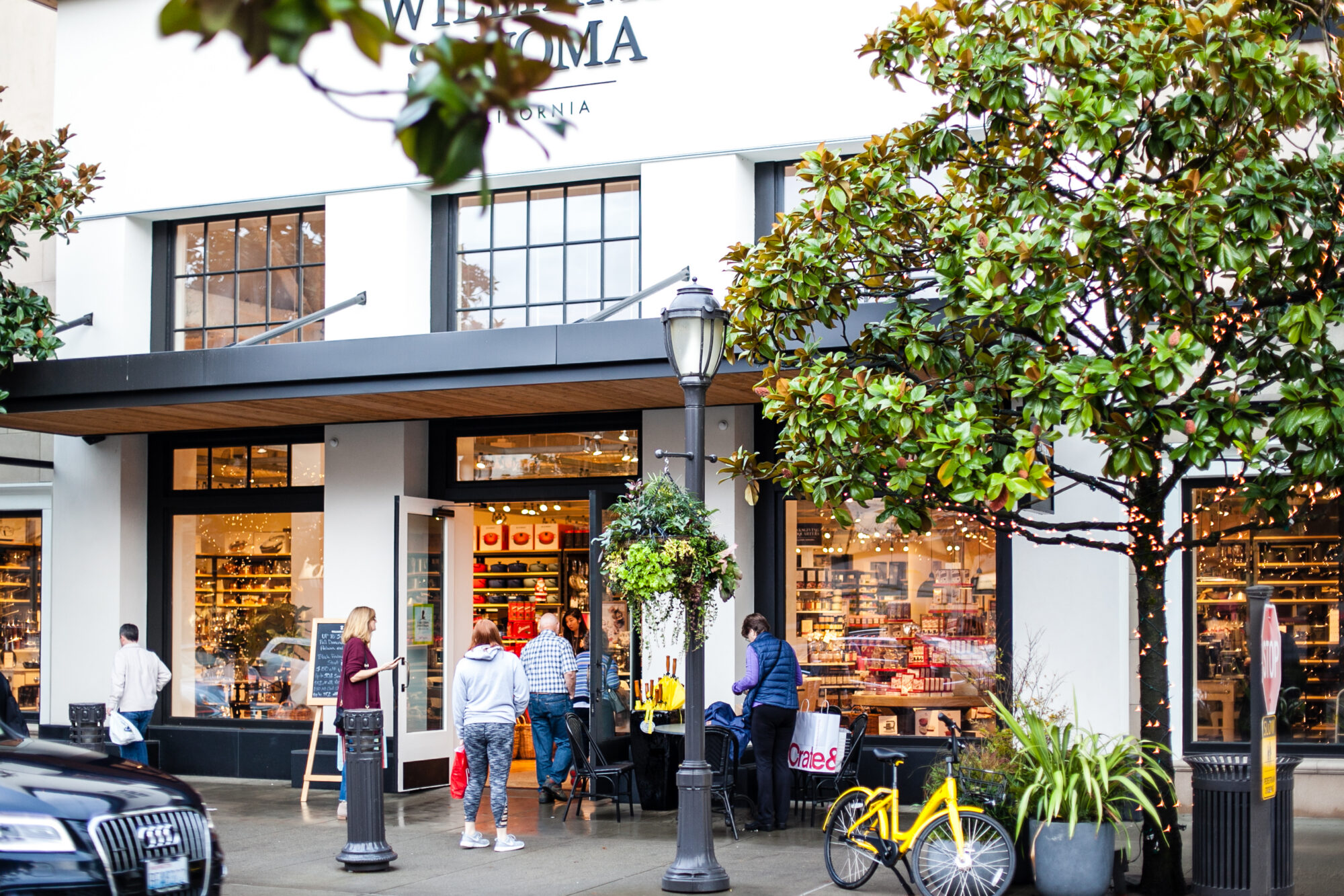 Williams Sonoma 3