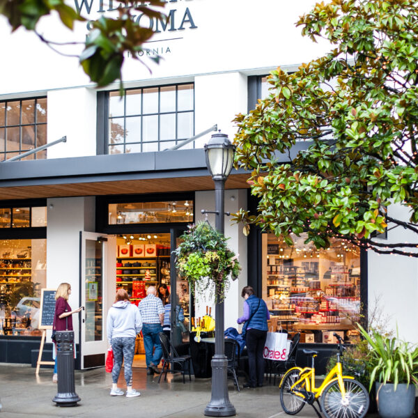 Williams Sonoma 3